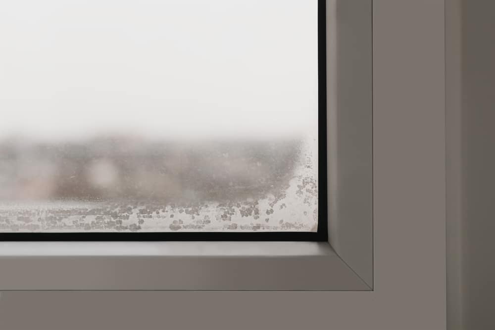 how-to-manage-foggy-and-misted-glass-in-cold-weather